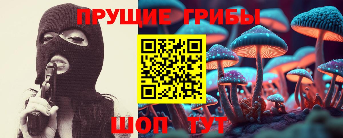 Псилоцибиновые грибы GOLDEN TEACHER Назрань