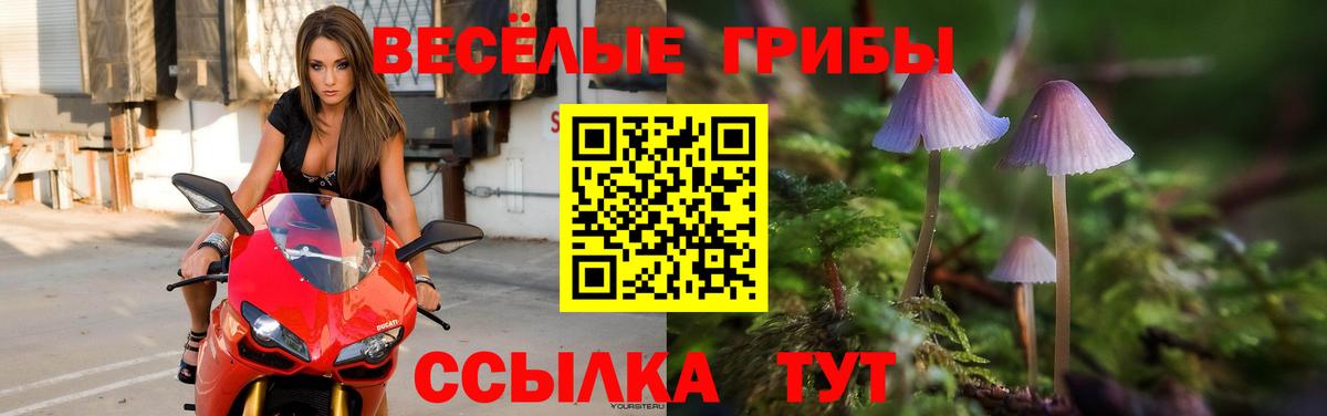 Псилоцибиновые грибы мухоморы  наркошоп  Назрань  Вход с VPN 