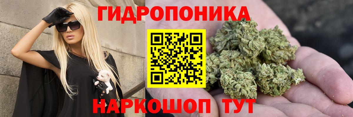 Бошки Шишки VHQ Назрань